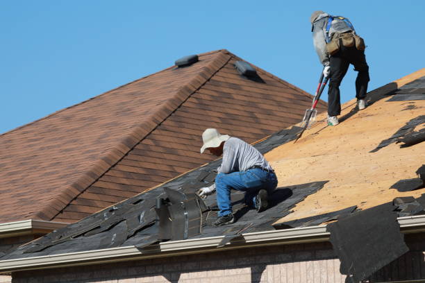 Best Gutter Installation and Repair  in Wesleyville, PA